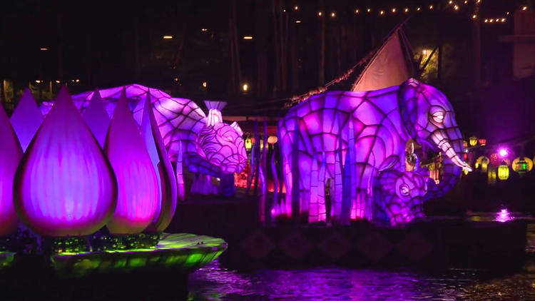 Pictures: First look at 'Rivers of Light' at Disney's Animal Kingdom