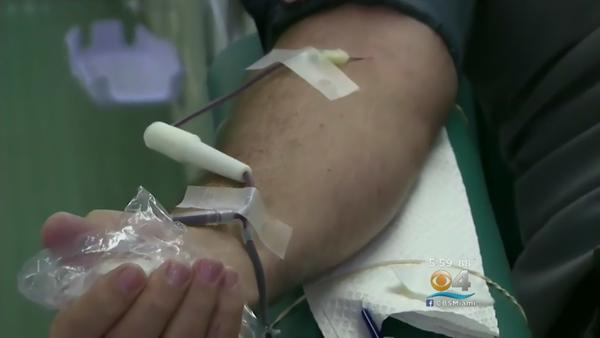 FDA: Halt Blood Donations In Dade, Broward Amid Possible Zika Outbreak