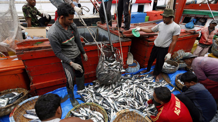 Fishermen unload their catch at the Lam Pulo market in Banda Aceh, Indonesia, on Sept. 7. Arrests on illegal fishing vessels off the coast of Indonesia have encouraged the growth of Indonesian fish exports to various countries.