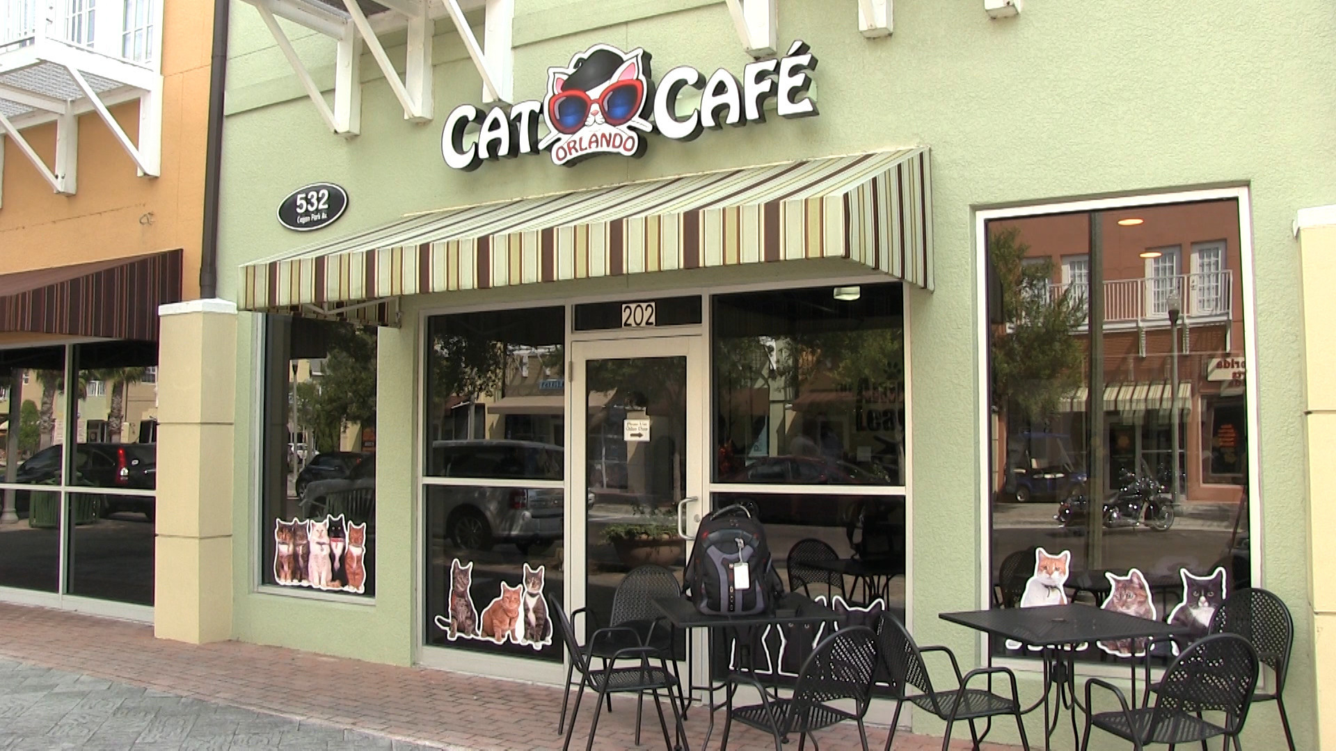Cat café opens near Orlando - Orlando Sentinel
