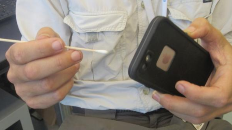 UC San Diego biochemist Pieter Dorrestein uses a swab to collect skin chemicals from the surface of a cellphone.
