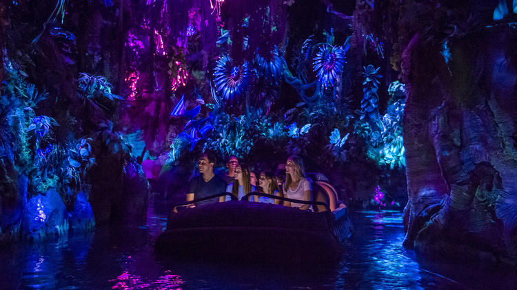 Pictures: Pandora - Disney's 'Avatar'-inspired land at Animal Kingdom