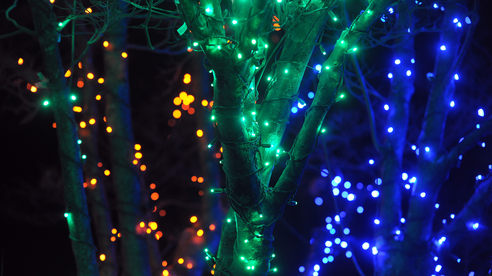 PICTURES: Lehigh Valley Zoo&#39;s Winter Light Spectacular - The Morning Call