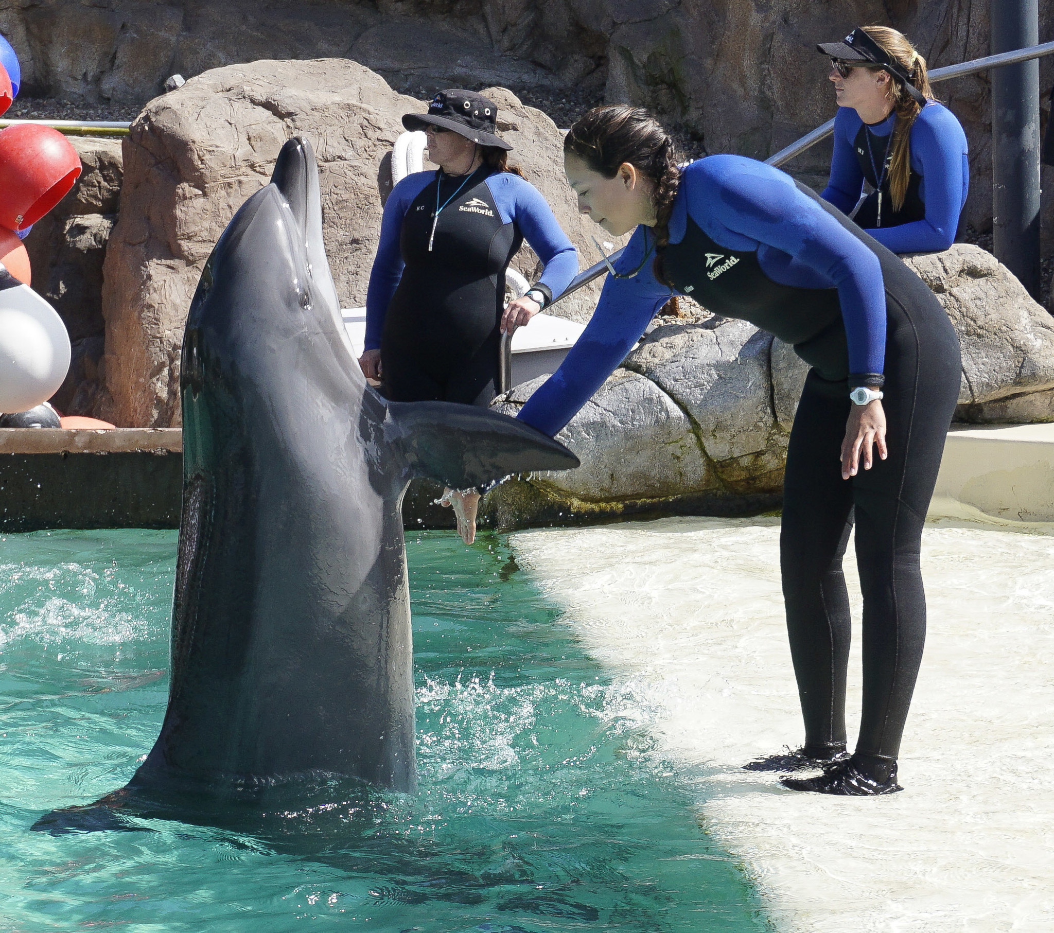 SeaWorld lays off hundreds of employees
