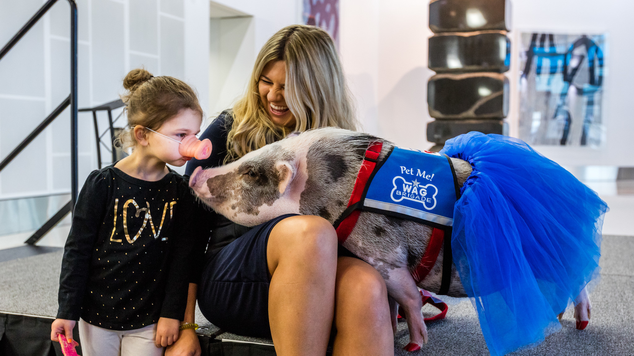 This little piggy is cheering up passengers at San Francisco's airport - Los Angeles Times