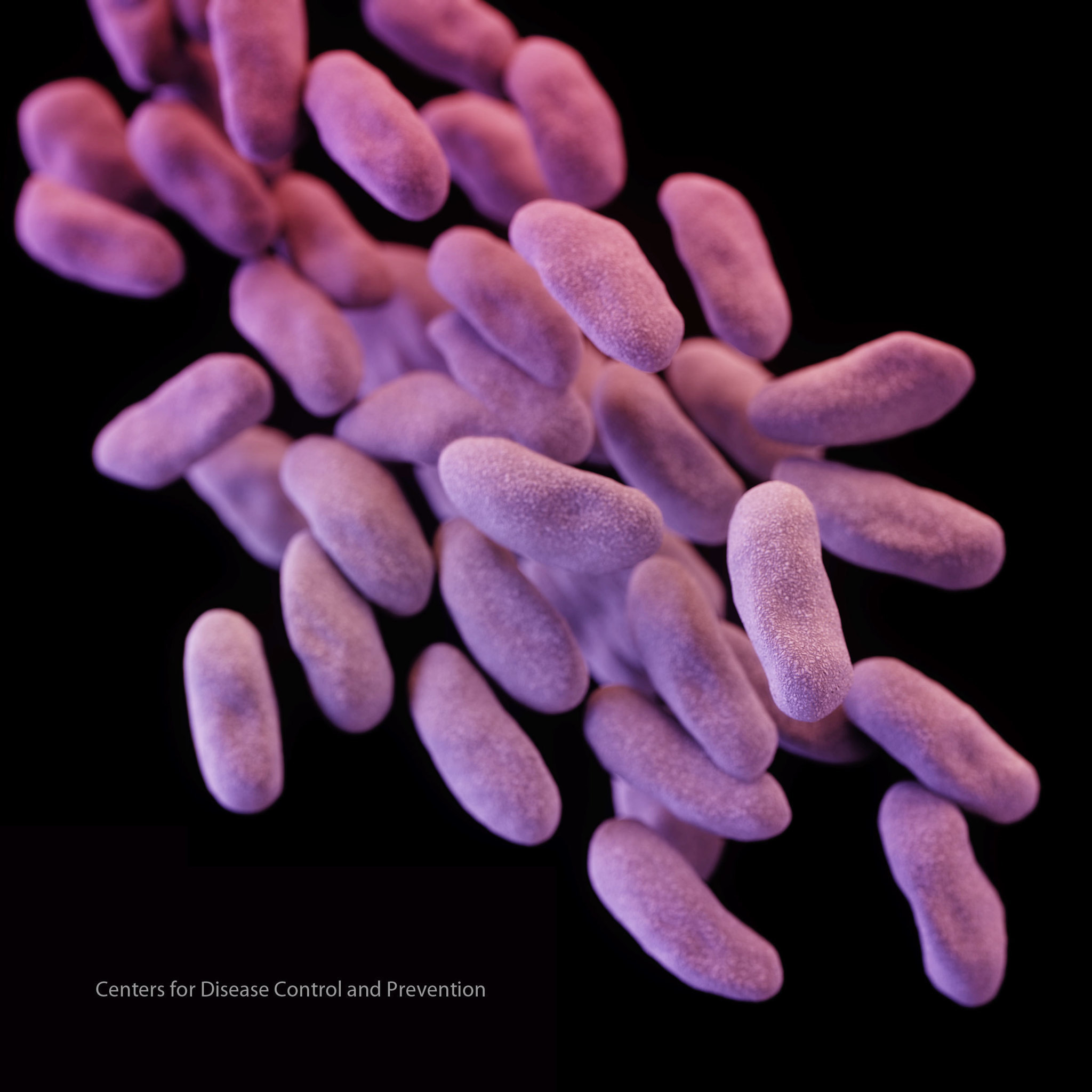 'Nightmare' superbug cases rise in Illinois health-care facilities