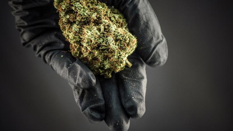 Medicinal Marijuana In Connecticut