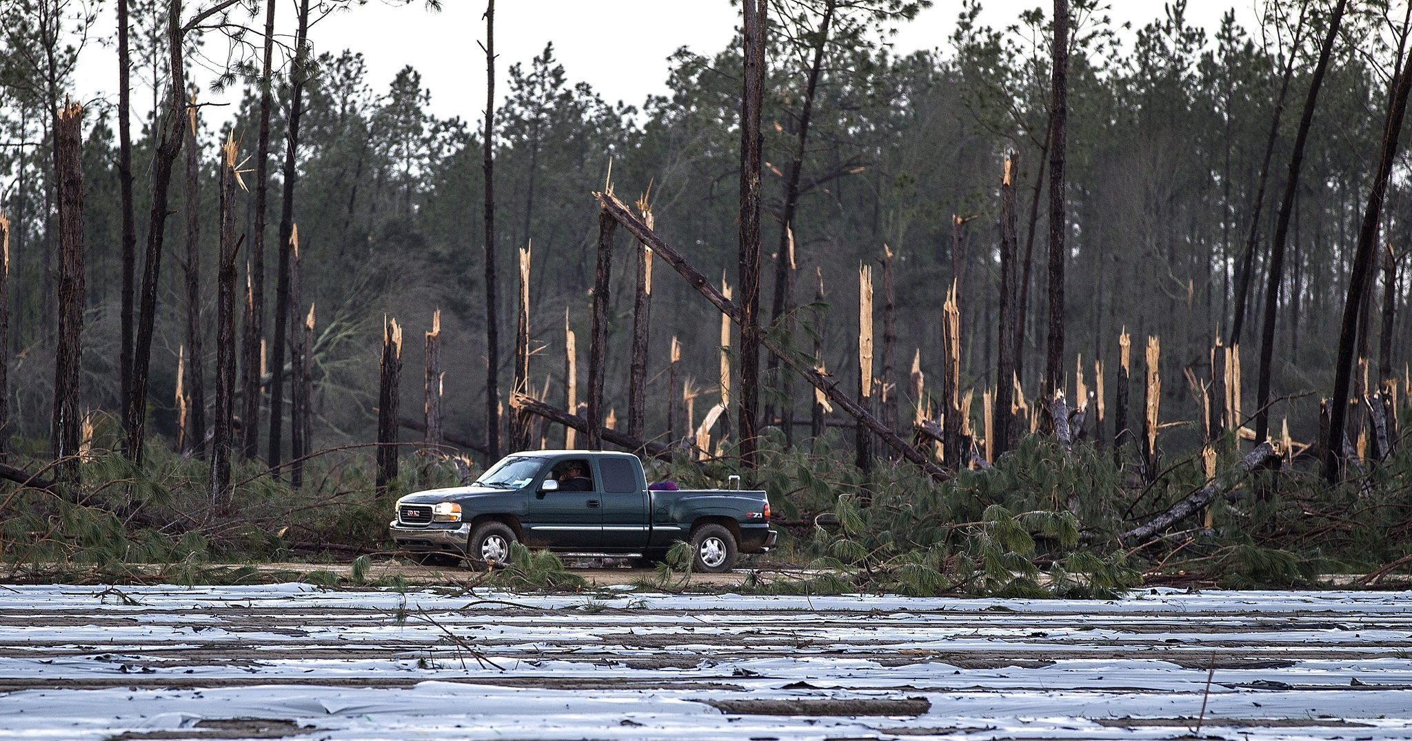 'The windows exploded': 20 dead after thunderstorms, tornadoes hit Deep South