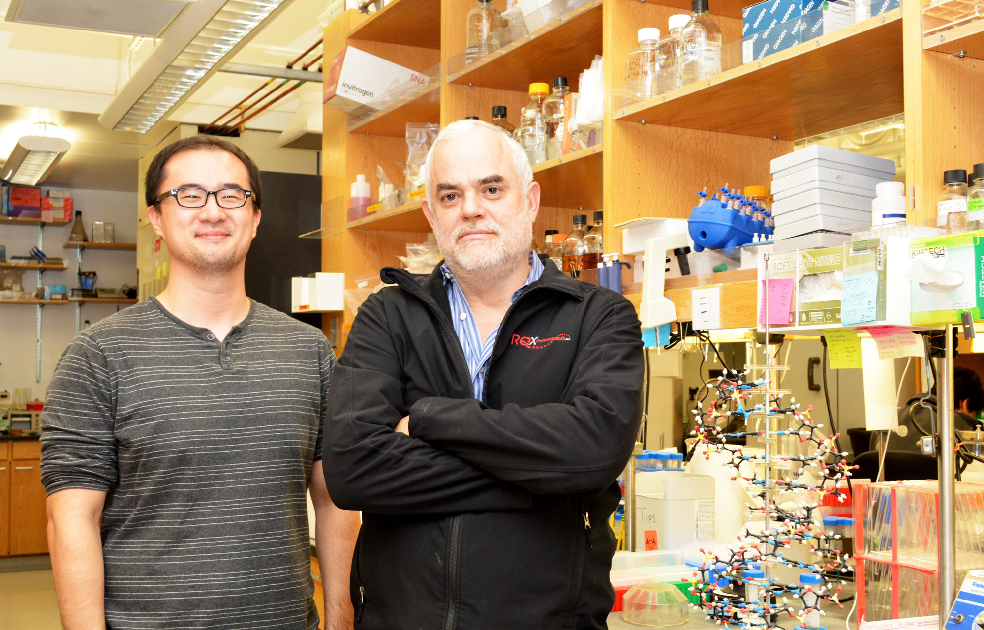 Scripps scientists get closer to artificial life with synthetic proteins