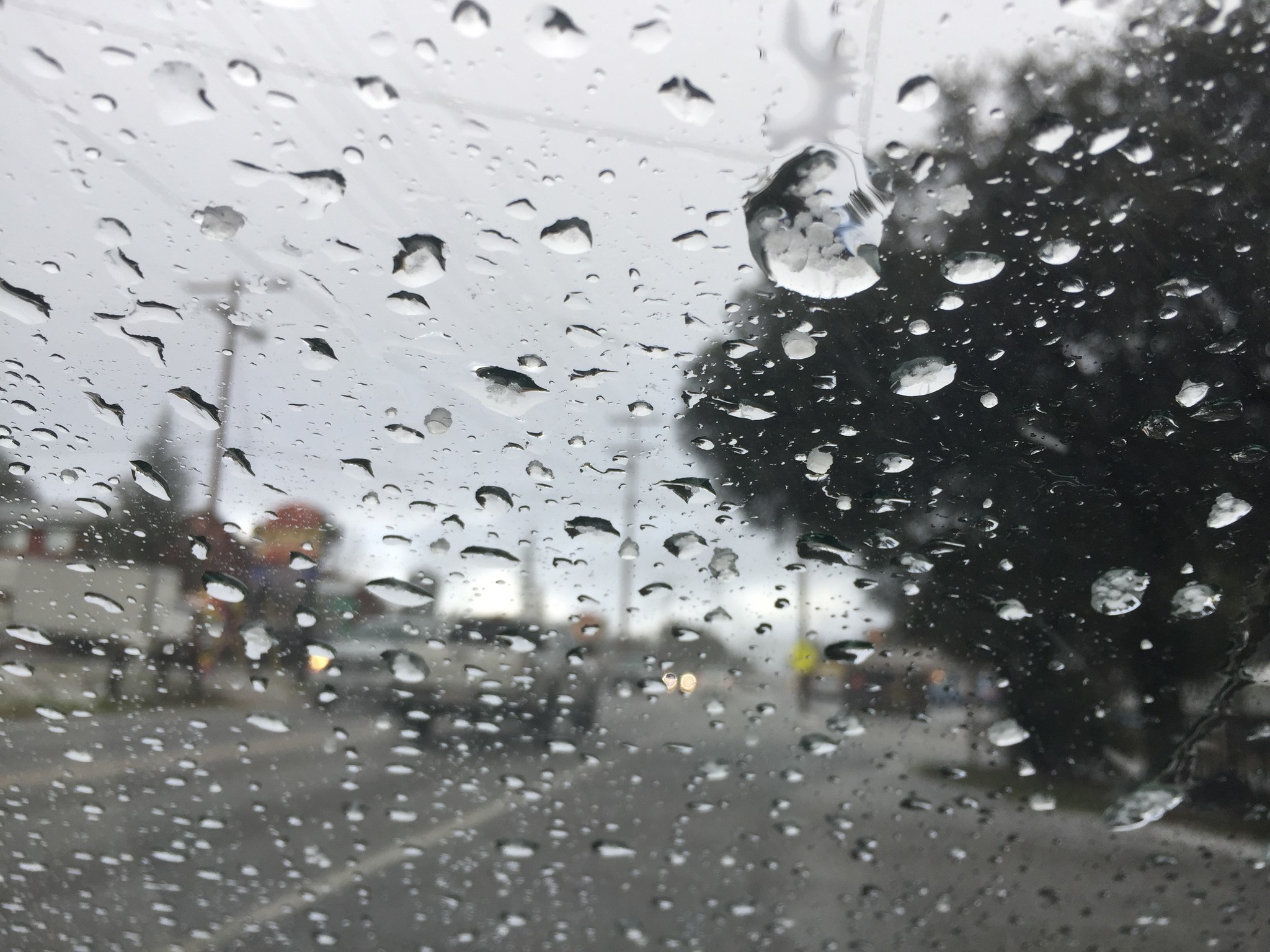 3 storms dropped nearly 11'' of rain in North County
