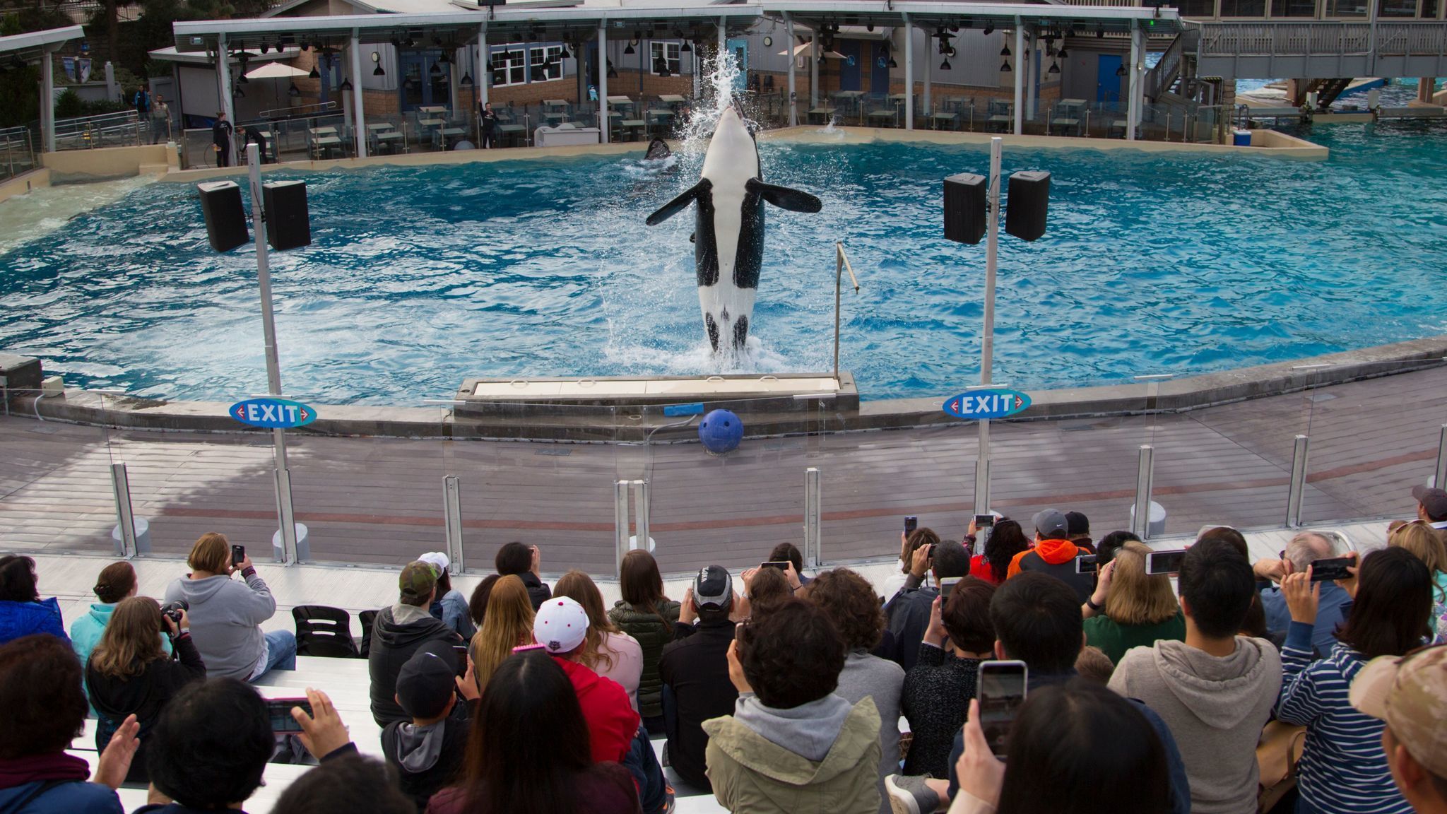 SeaWorld attendance fell last year