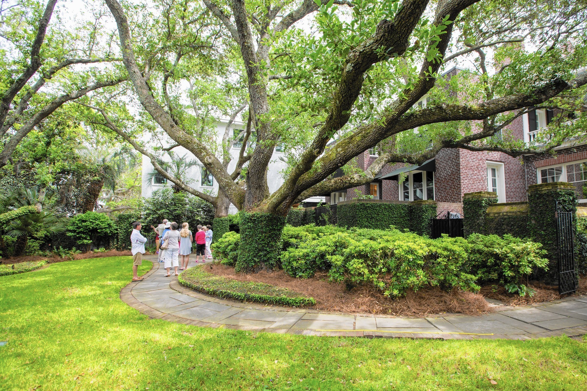 Visit Charleston in the spring for blooming festival and food scene