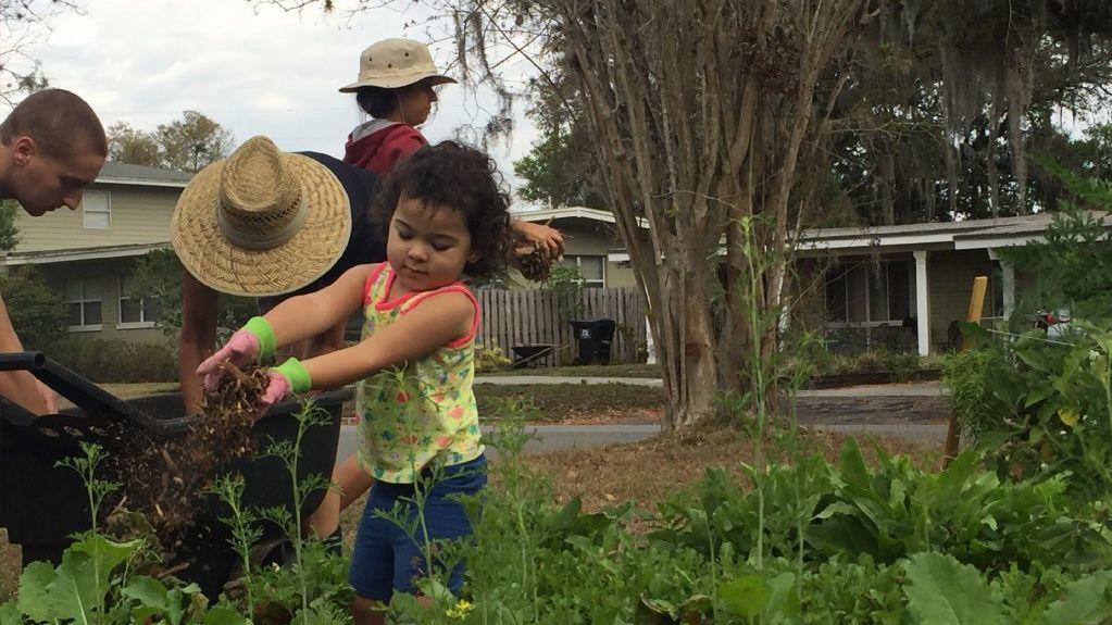 Three-year-old Violet Gonzalez spreads mulch at a farmlette in the Audubon Park neighborhood of Orlando.