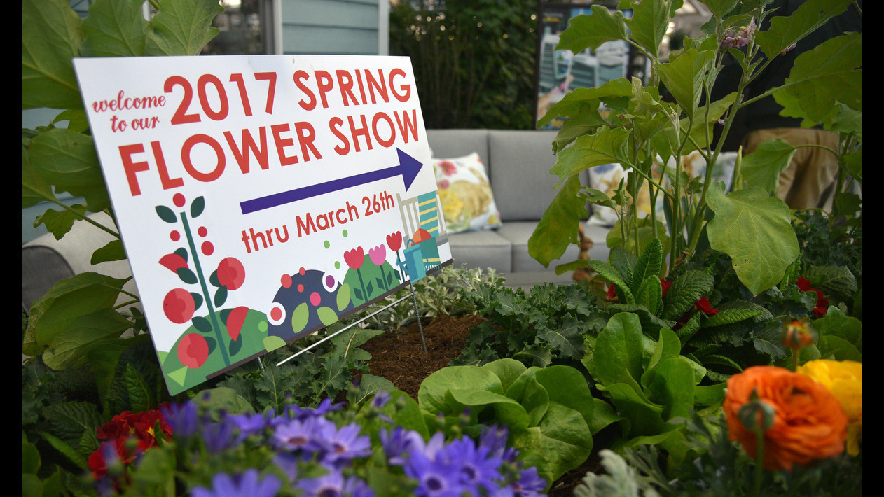 Annual Flower Show In Davidsonville Advocates For Self Sufficient