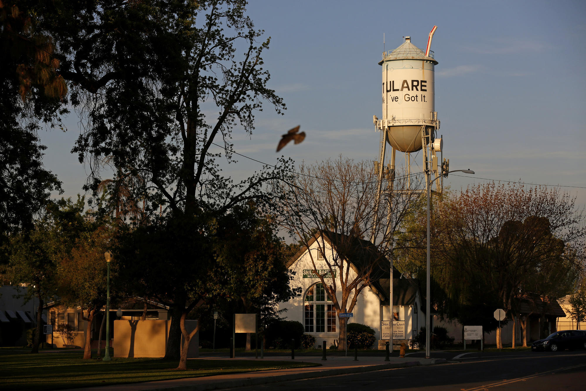 The farming community of Tulare, southeast of Fresno, has sustained the Nunes family for generations.