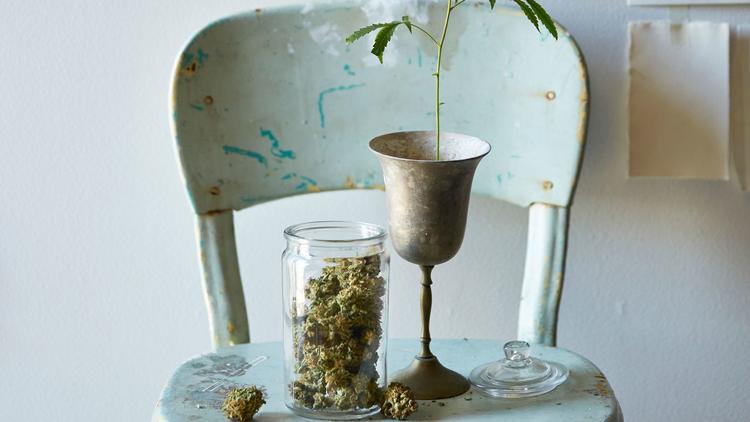 Marijuana plant and buds on a vintage chair.