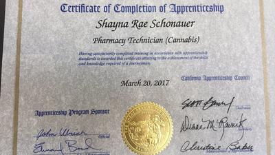 Shayna Schonauer's cannabis pharmacy technician certificate from the California Department of Indust