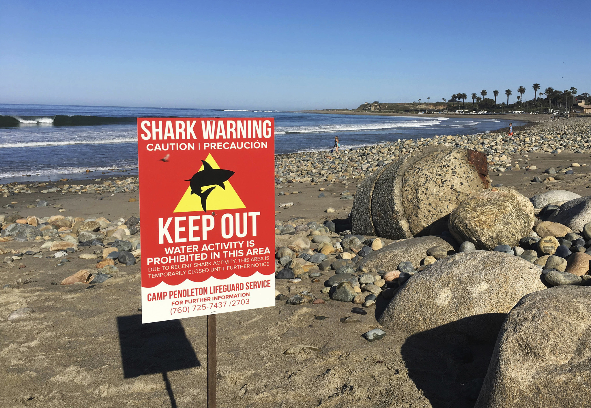 Warning: Aggressive shark spotted off San Onofre - Los Angeles Times