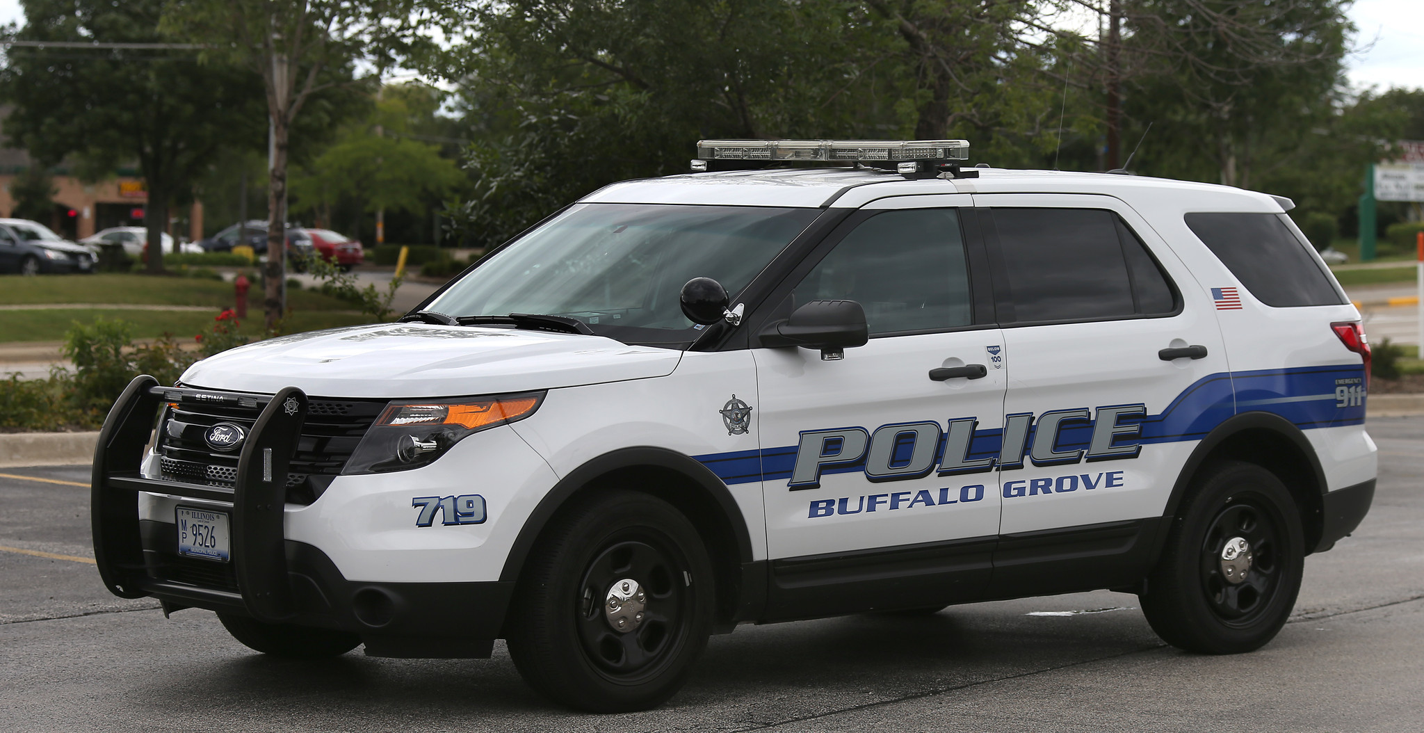 Man dies in crash after alleged Buffalo Grove domestic ...