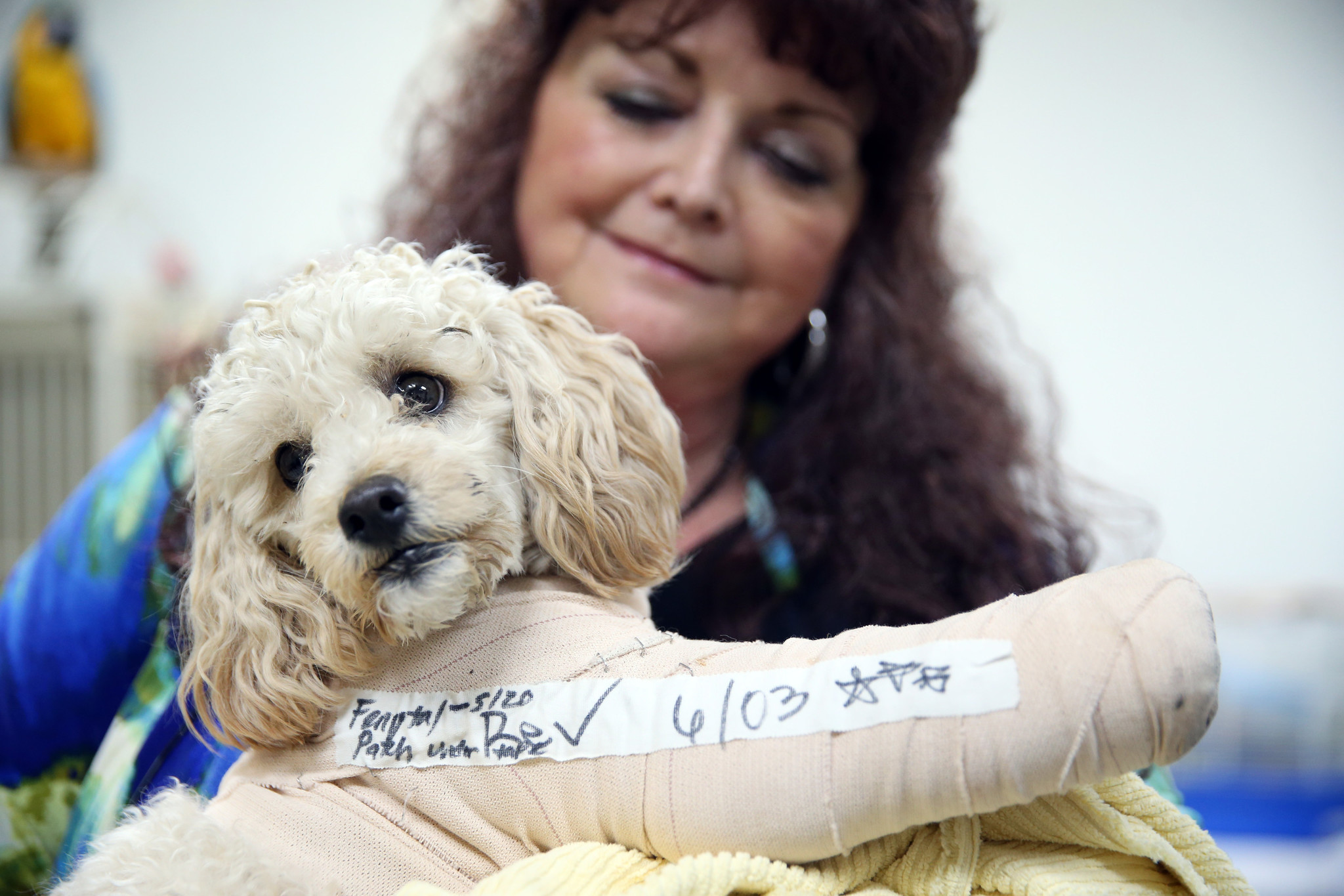 Listen to the 911 call hospital security placed for poodles dropped from parking deck
