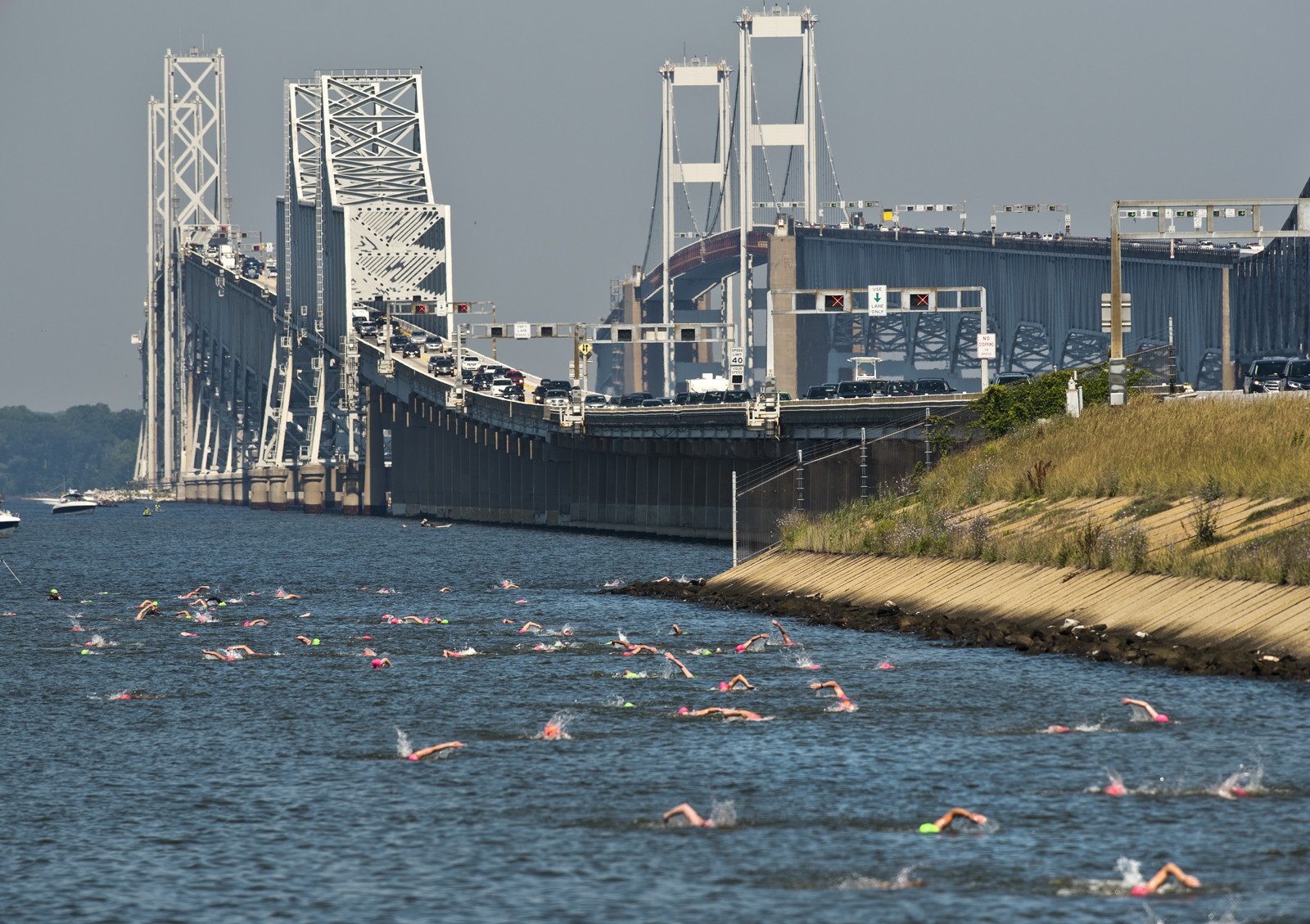 Smooth day for Great Chesapeake Bay Swim Baltimore Sun