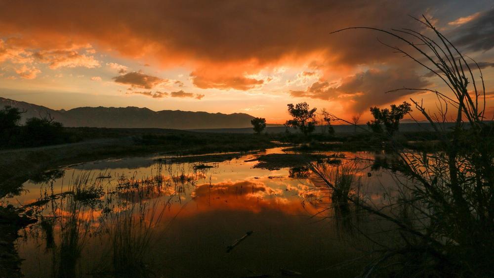 The warm colors of sunset are reflected in the pools of water next to a tributary of Bishop Creek. A wet winter and heavy snowmelt have caused the water levels to rise in the creeks and rivers in the Owens Valley and throughout the Sierras.
