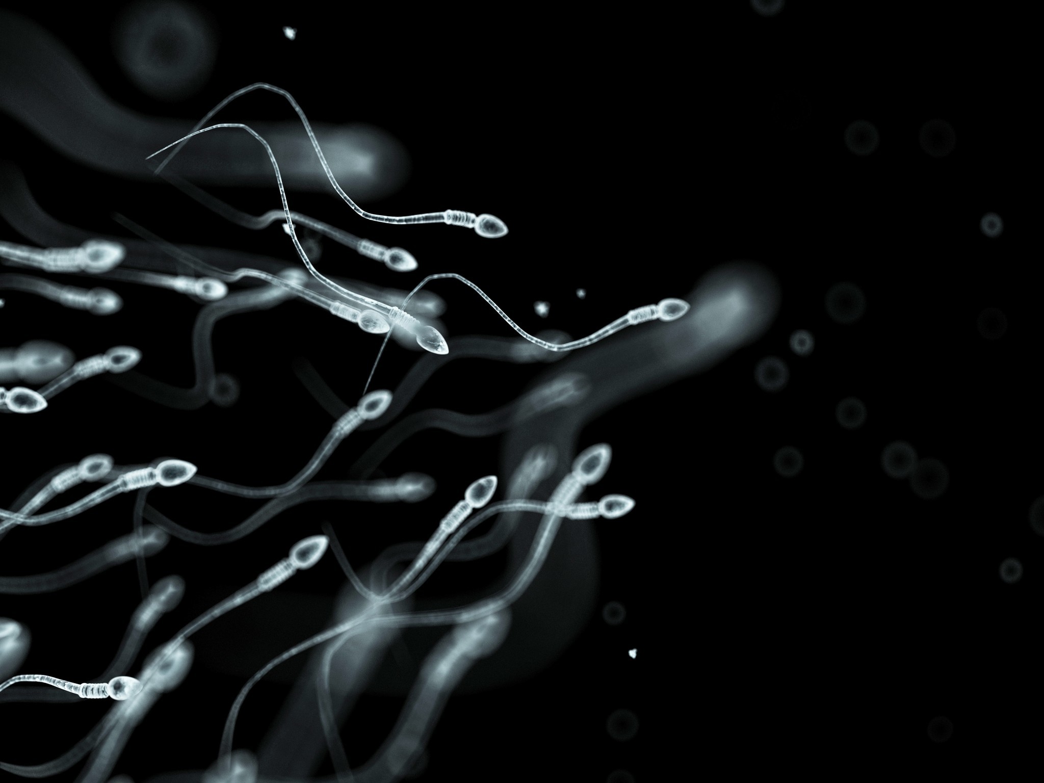 statistics Sperm concentration