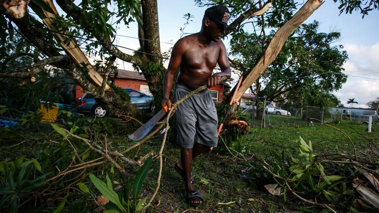 Jerry Thomas works to clear out a fallen mango tree outside his house after the winds caused by Hurr