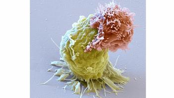 The origins of immunotherapy