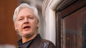 Julian Assange confirms Wikileaks was approached by data firm working for Trump campaign