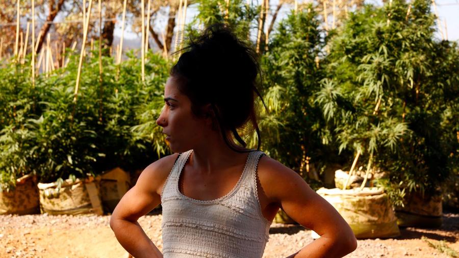Ashley Oldham, owner of Frost Flower Farms, reflects on the loss to her marijuana farm due to the Redwood Valley fire. — Photograph: Genaro Molina/Los Angeles Times.