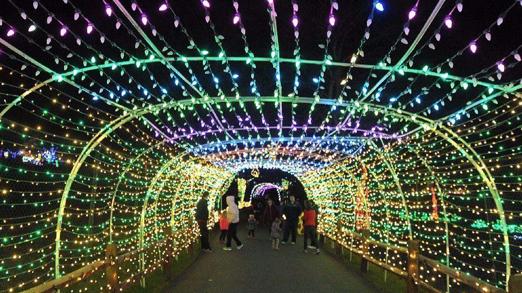Lehigh Valley Zoo&#39;s fourth annual Winter Light Spectacular has dazzling new features - The ...