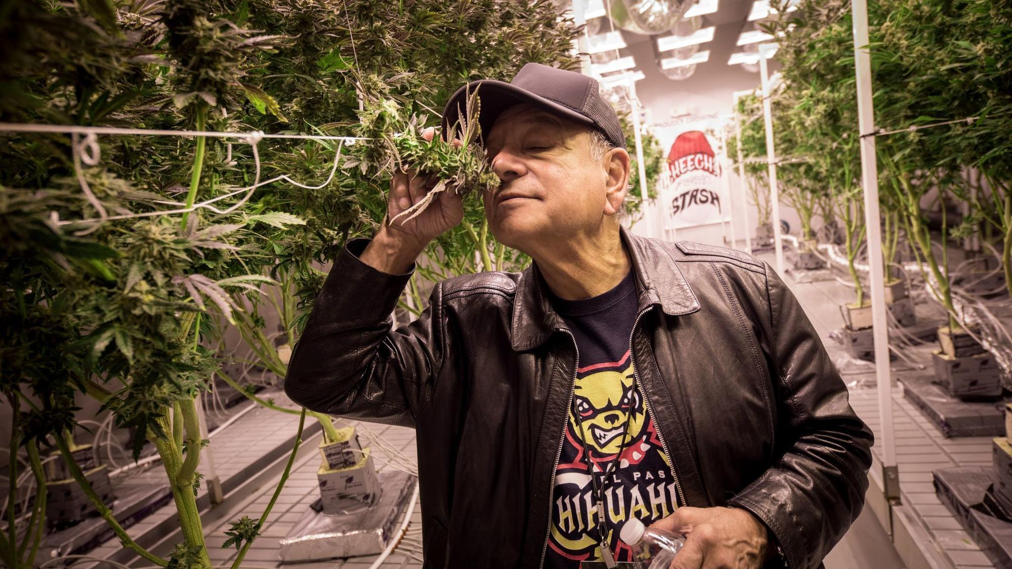 Cheech Marin is cool with pot and America's 'middle,' but don't get him started on ...2000 x 1125
