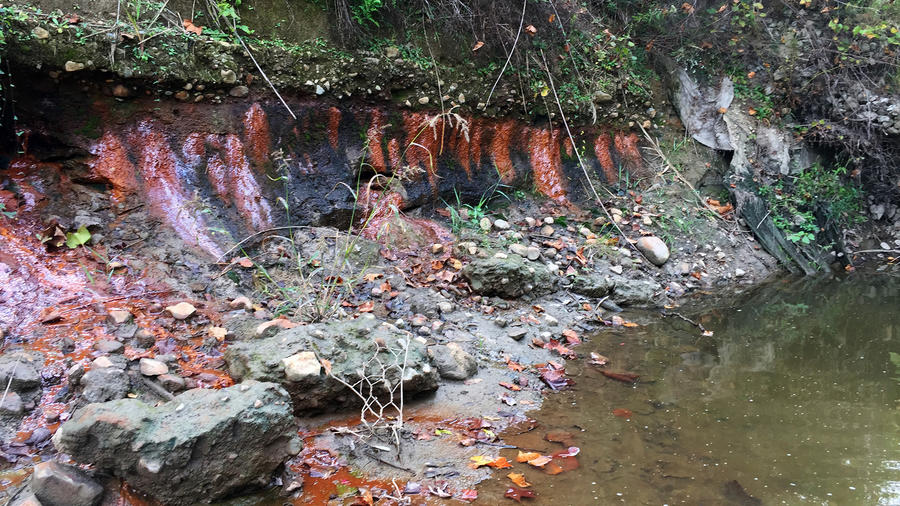 Vermilion River pollution