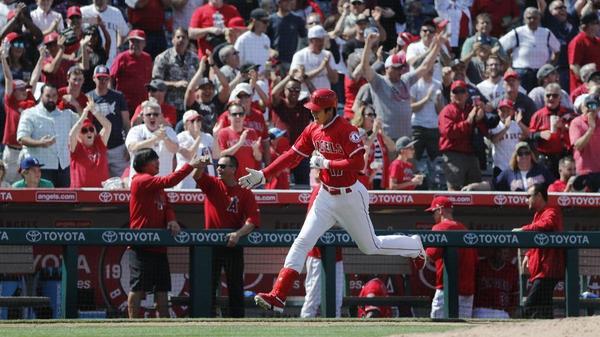 Shohei Ohtani fever is really heating up in Angel Stadium