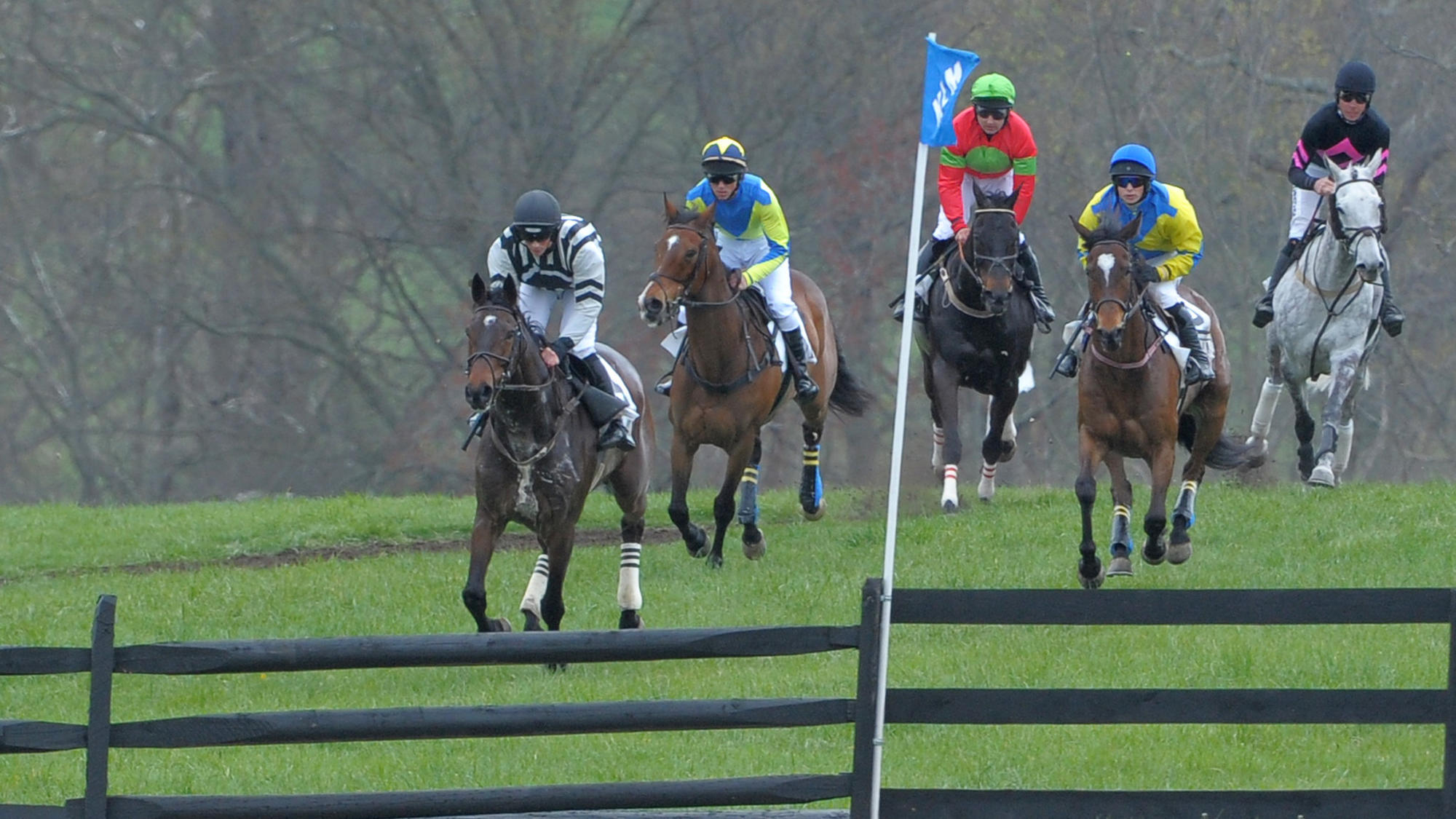 How to attend Maryland's Triple Crown steeplechase races Baltimore Sun