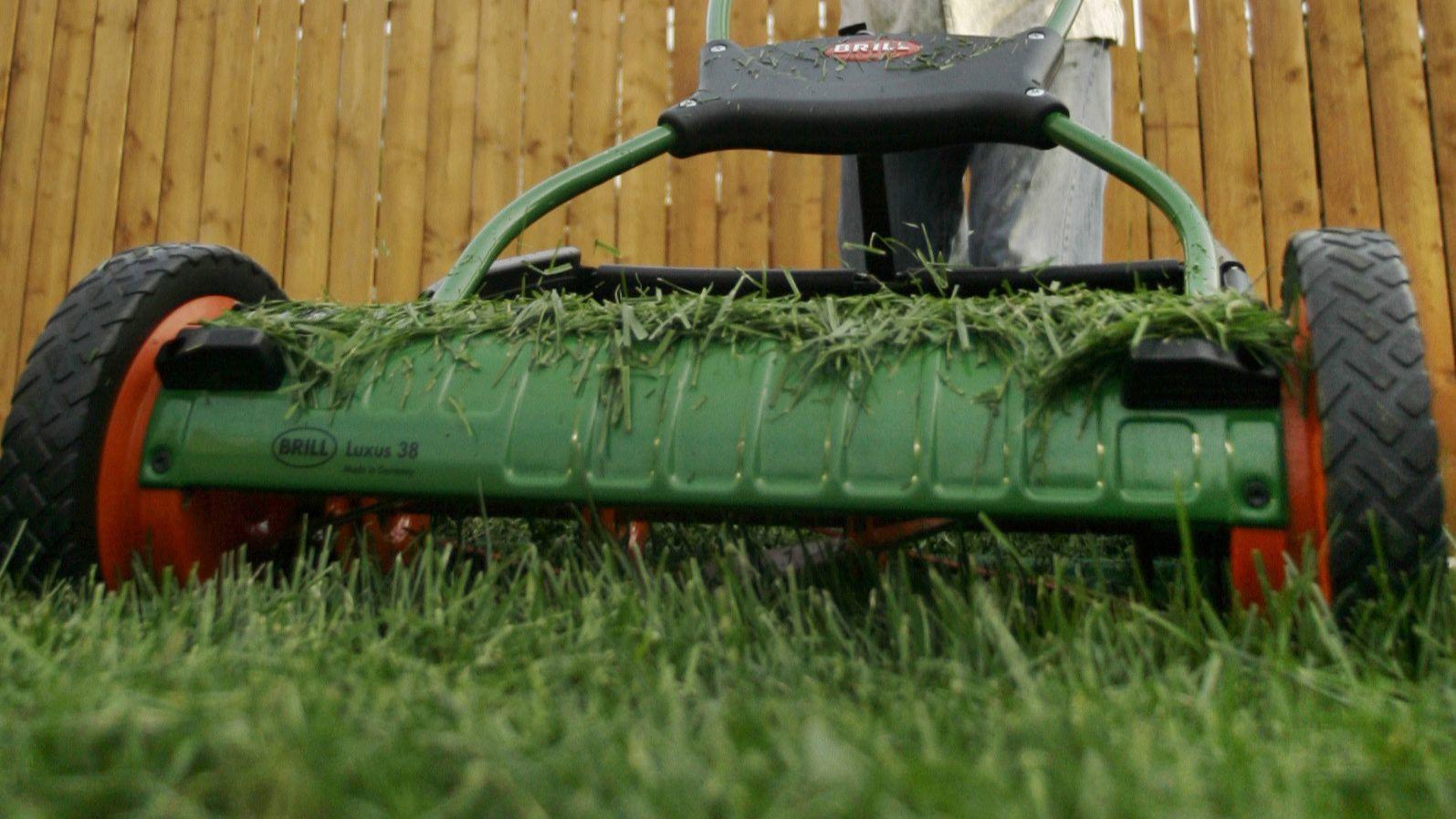 Want To Ditch The Lawn Turf Removal Rebates Are Coming Back LA Times
