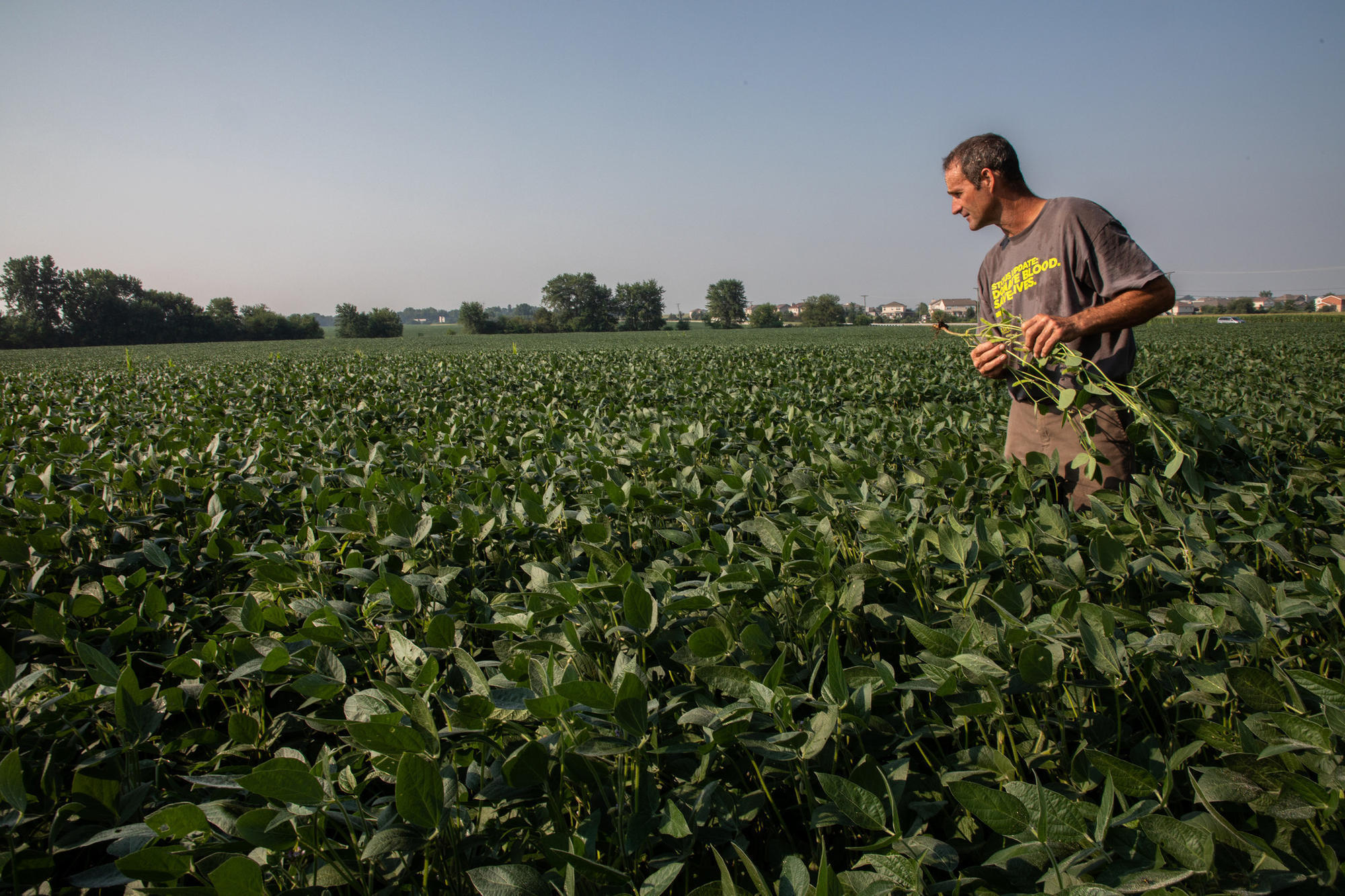 Illinois farmers welcome $12 billion in aid, but prefer trade: 'There’s