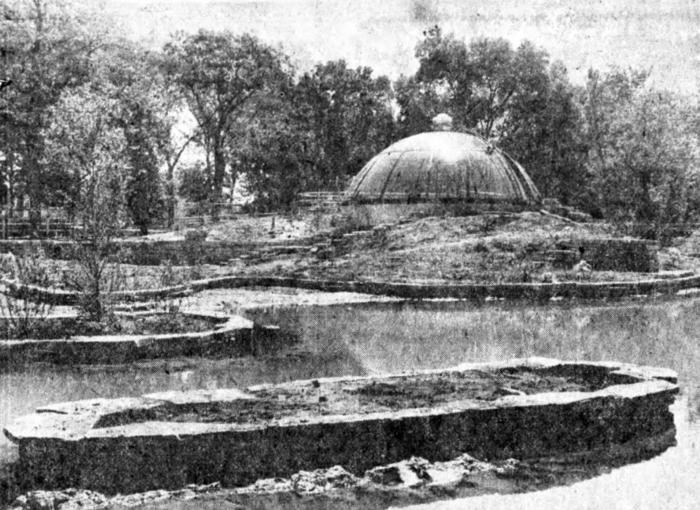Waterfowl pond and flamingo dome, 1978