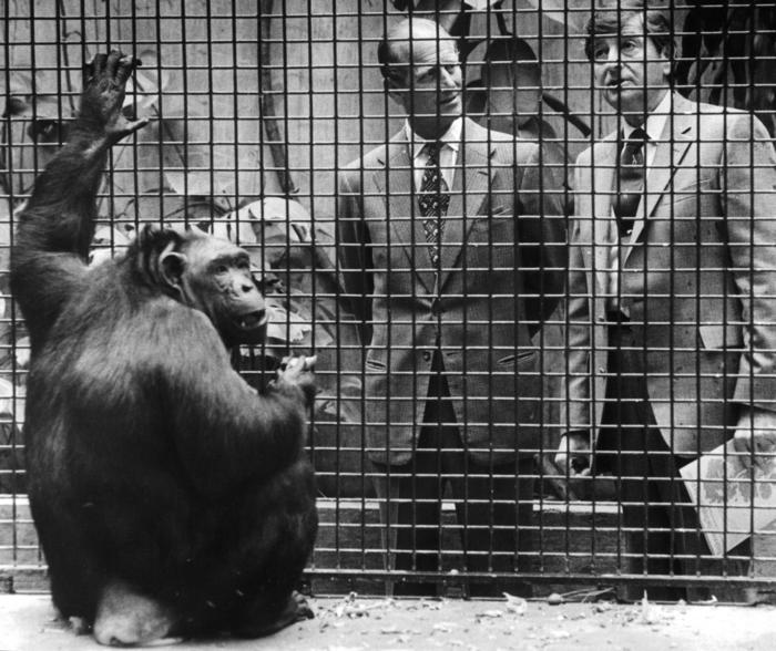 Prince Philip visits Lincoln Park Zoo, 1982
