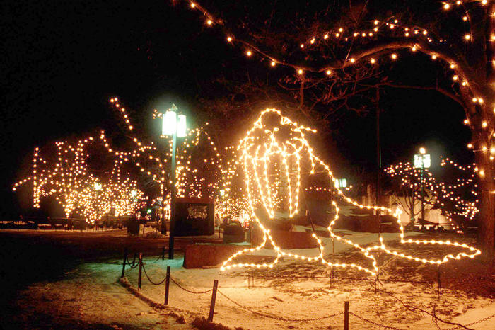 First ZooLights, 1995
