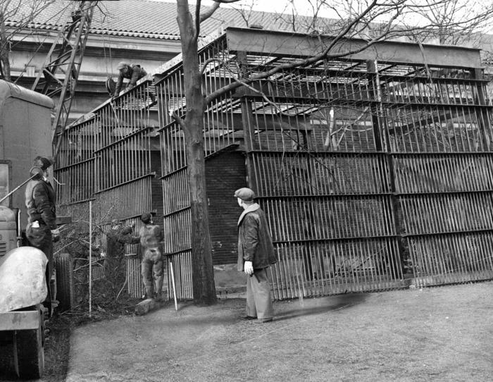 Outdoor cage for Bushman, 1947
