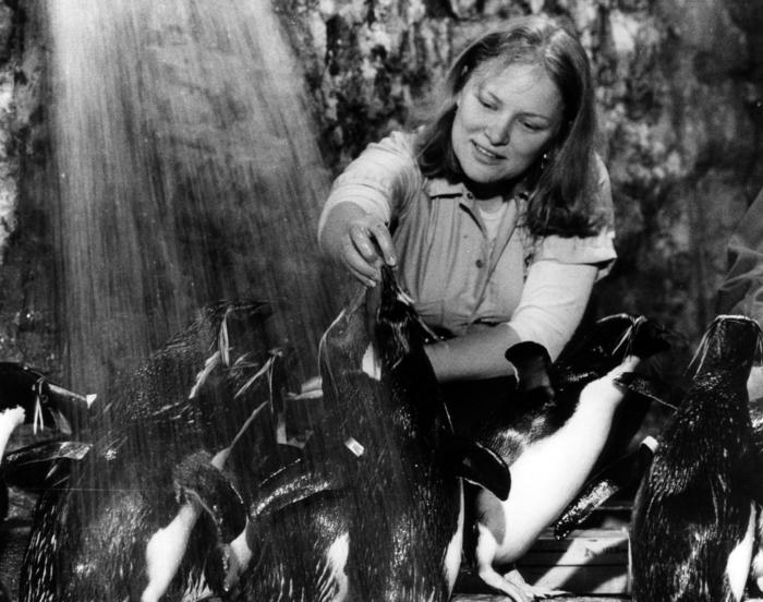 Penguin-Seabird House, 1981