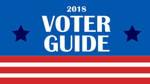 Voter Guide: Meet the candidates in South Florida's 2018 general elections