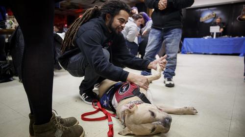 31 dogs died in a fire at this trainer’s suburban kennel, but to some people, he’s still a hero