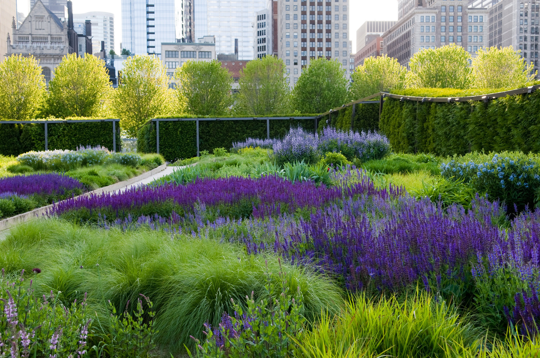Innovative technology and thinking help urban parks evolve - Chicago