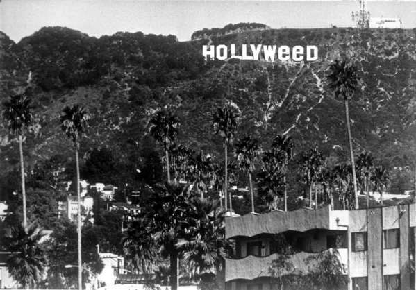Kevin Smith Rolls Out ‘Hollyweed’ Pot Comedy Project