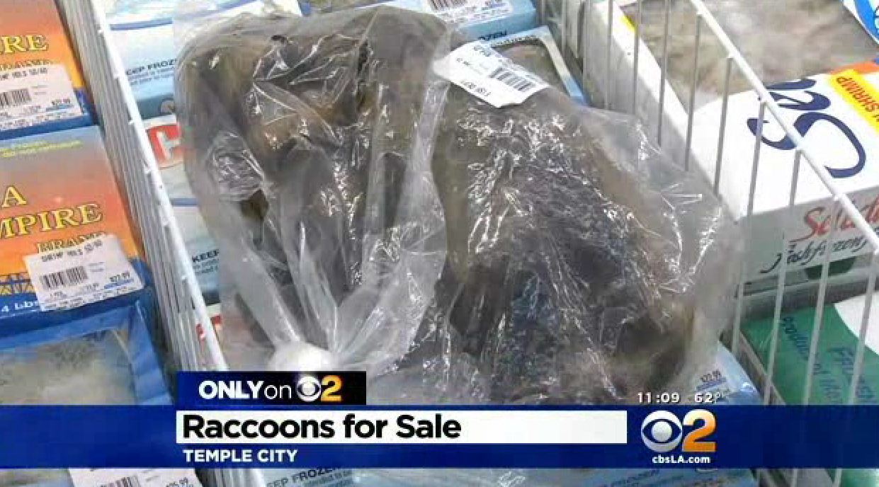 Raccoon meat for sale at L.A. supermarket; store under ...