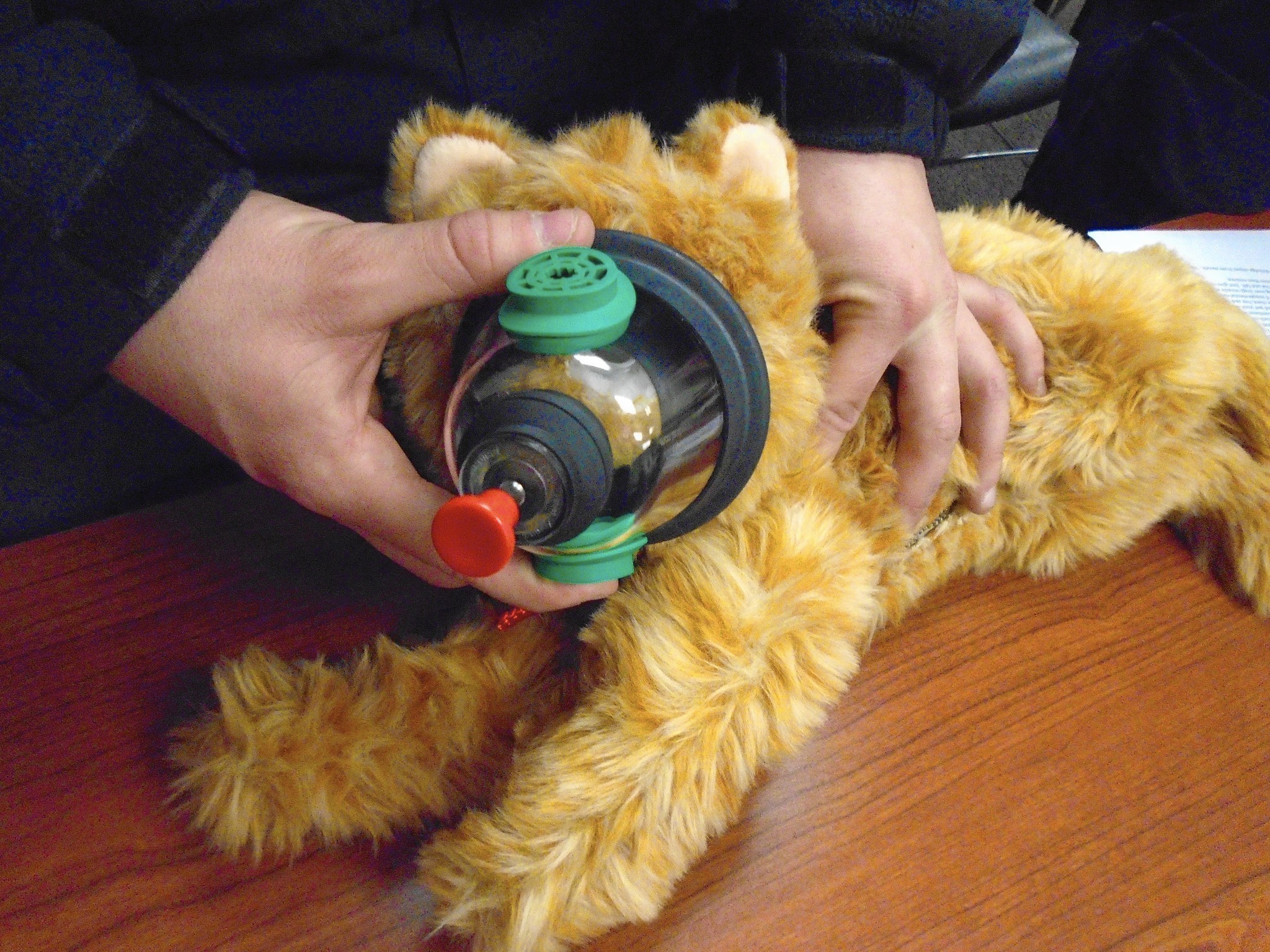 Animal oxygen masks can save lives of pets, firefighters ...