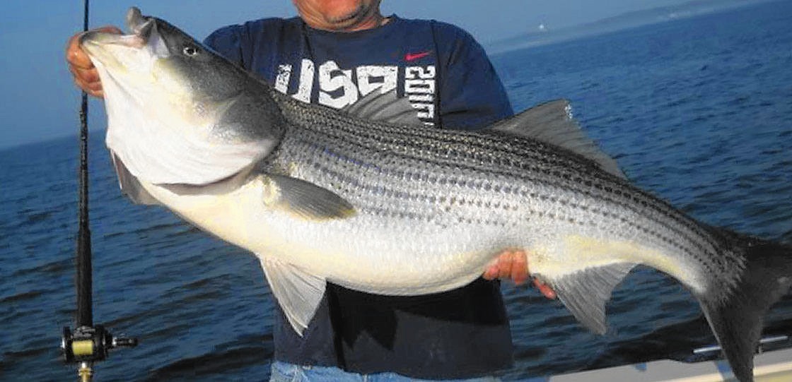 Maryland's new rockfish restrictions spark debate with season opening